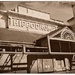 The Brighton Hippodrome by judithdeacon