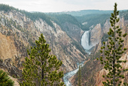 14th Sep 2015 - Lower Falls Yellowstone River