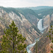 Lower Falls Yellowstone River by lstasel
