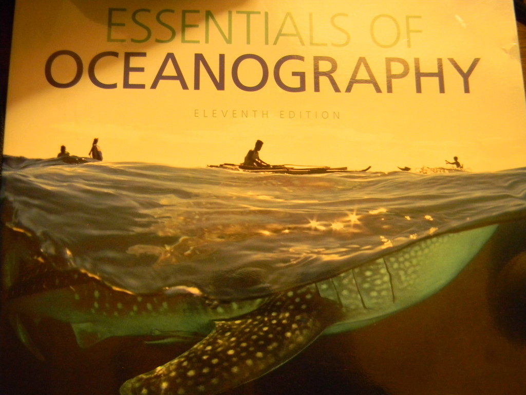 Oceanography Textbook by sfeldphotos