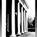 Academic Pillars by olivetreeann