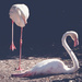 Pink flamingo by brigette