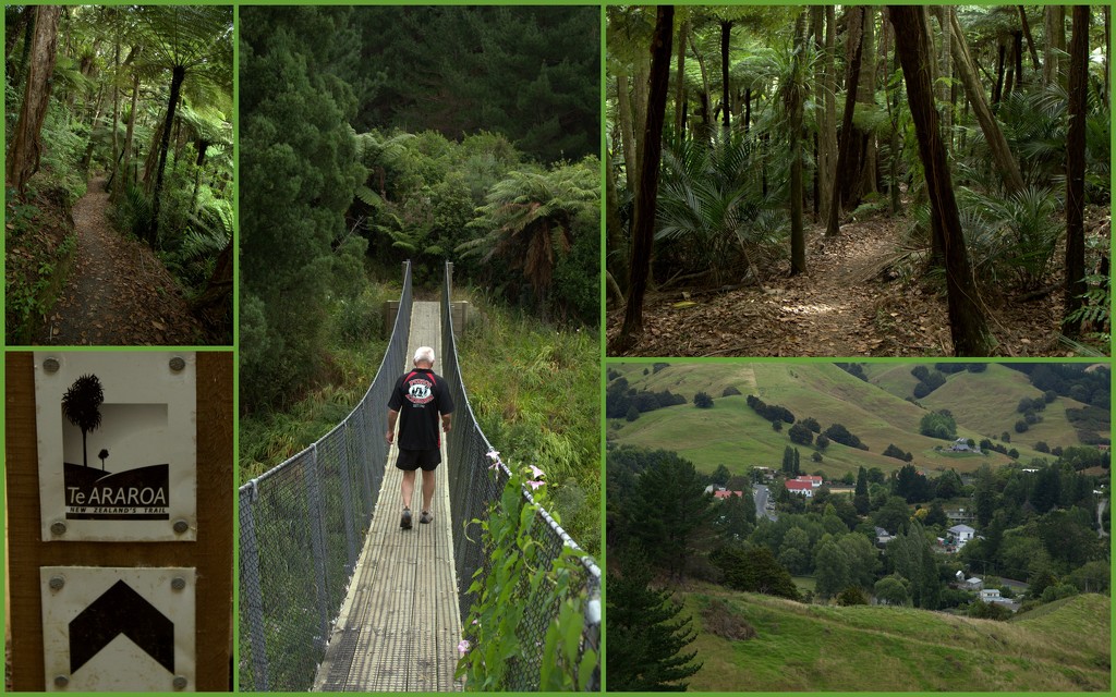 The Puhoi Track by dide