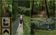 15th Jan 2017 - The Puhoi Track