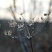 Droplets by parisouailleurs