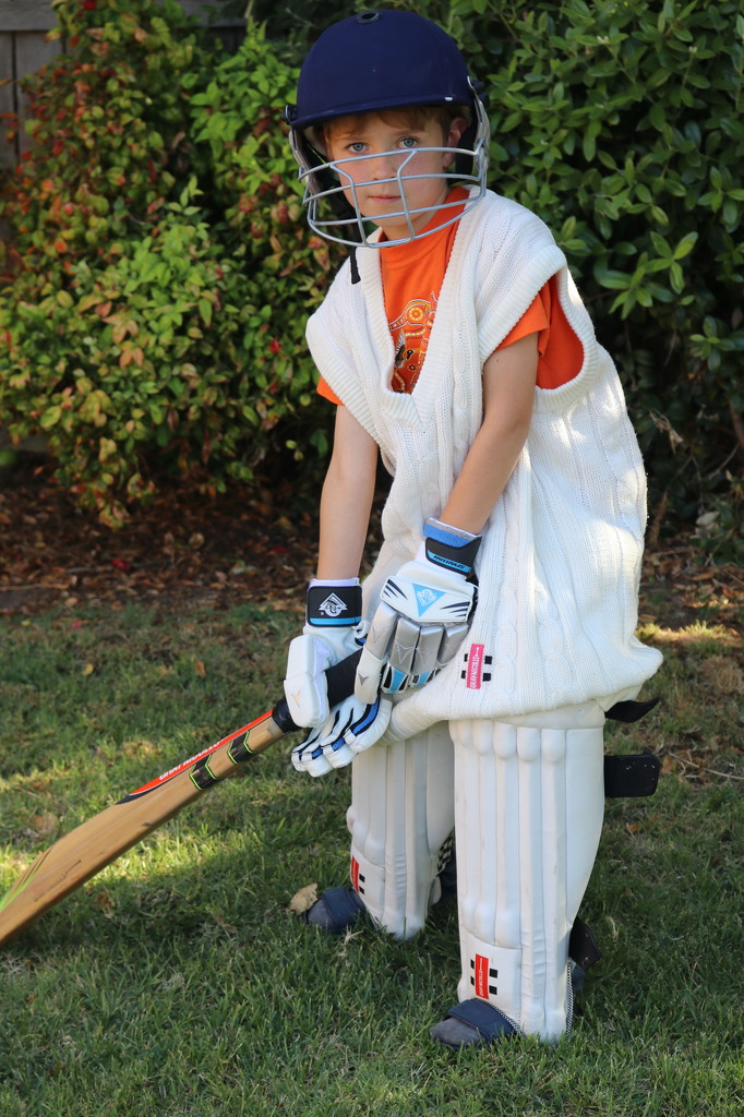 Australia's future cricket star by gilbertwood