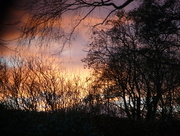 14th Jan 2017 - Evening sky ... 