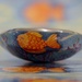 Not Quite A Goldfish Bowl_DSC0074 by merrelyn