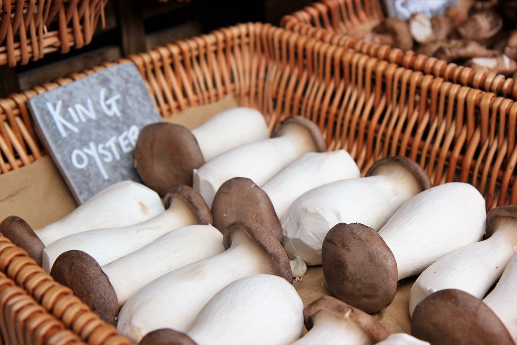 King Oyster Mushrooms by cookingkaren