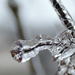 Ice Details #3 by lsquared
