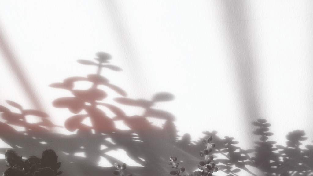 Plant shadows by m2016