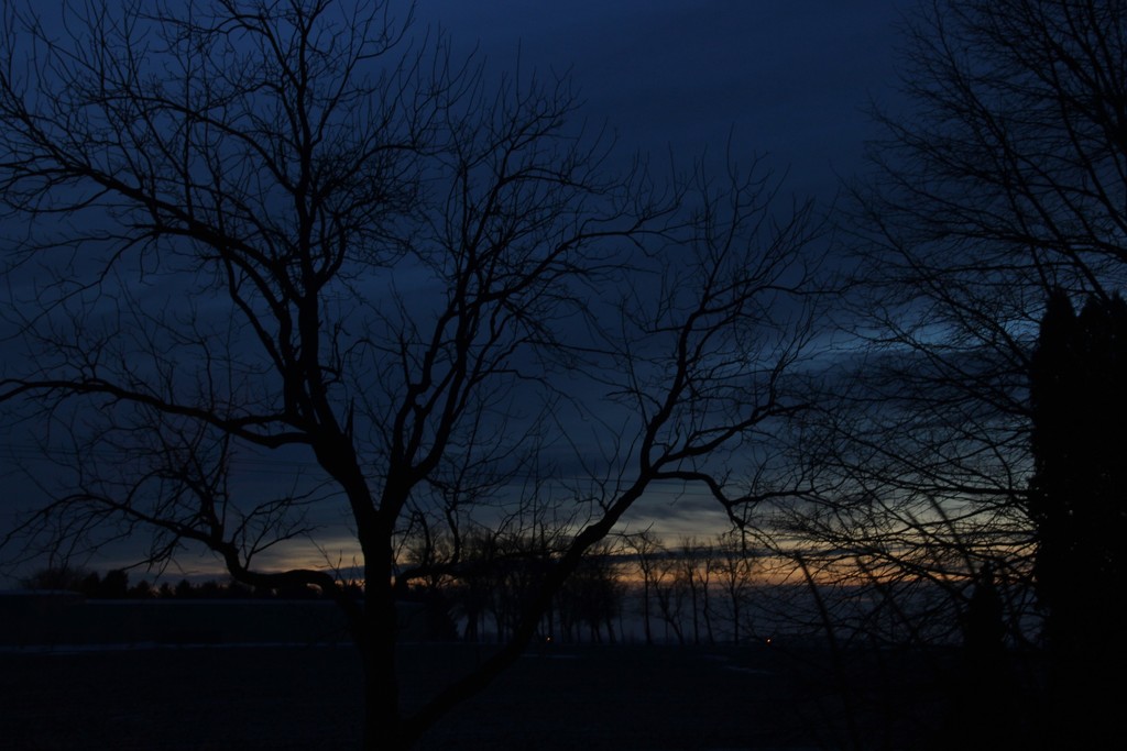 Winter Sunrise by bjchipman