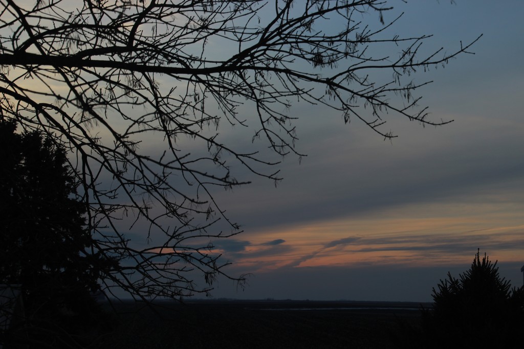 Sunset Silhouettes by bjchipman