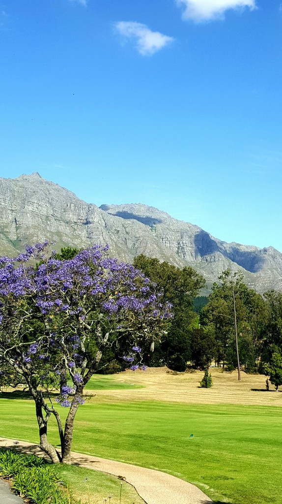 Stellenboschberg by ludwigsdiana