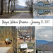 2017.01.15 Sunday, Hayes Nature Preserve collage by dsp2