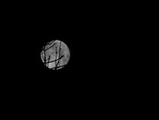 13th Jan 2017 - moon behind trees