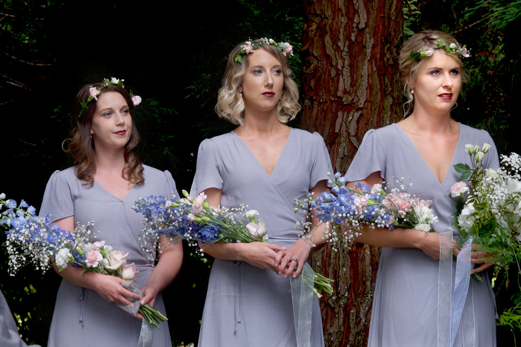 The bridesmaids by dkbarnett