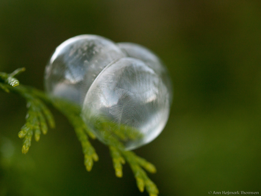Finally... a frozen soap bubble... by atchoo