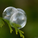 Finally... a frozen soap bubble... by atchoo