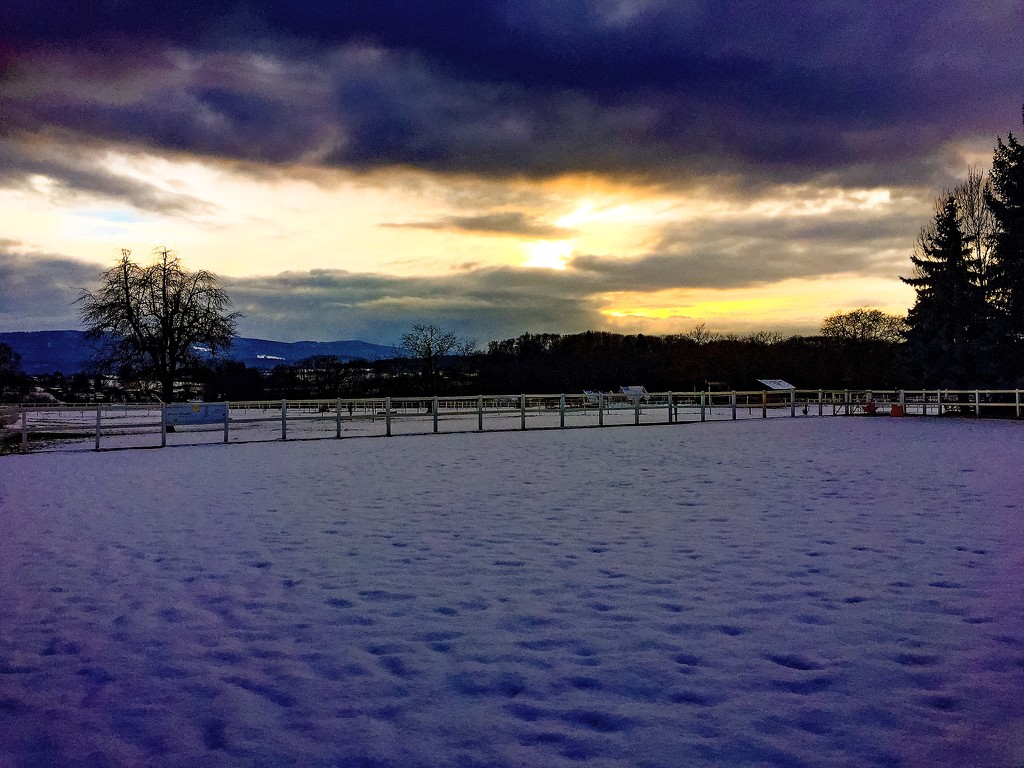 Sunset on snow by cocobella