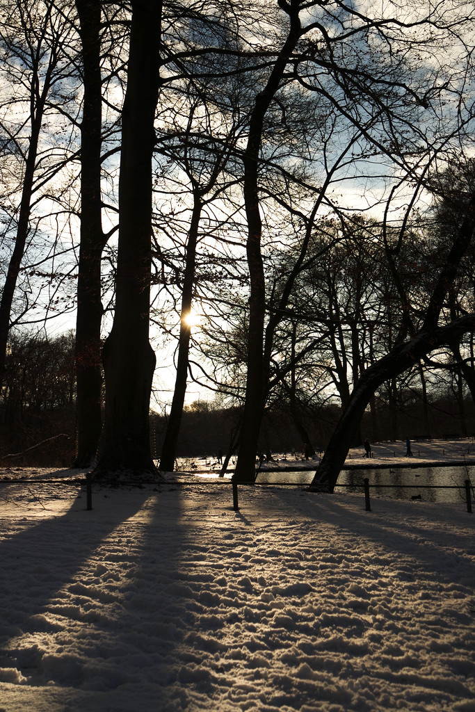 Schneelandschaft im Englischen Garten by toinette