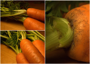 16th Jan 2017 - Day 138:  Carrot Collage