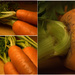 Day 138:  Carrot Collage by sheilalorson