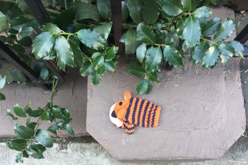 Lost tiger(?) glove by fauxtography365