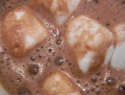 16th Jan 2017 - Hot Chocolate with Marshmallows Closeup