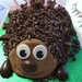Hedgehog cake.... by anne2013