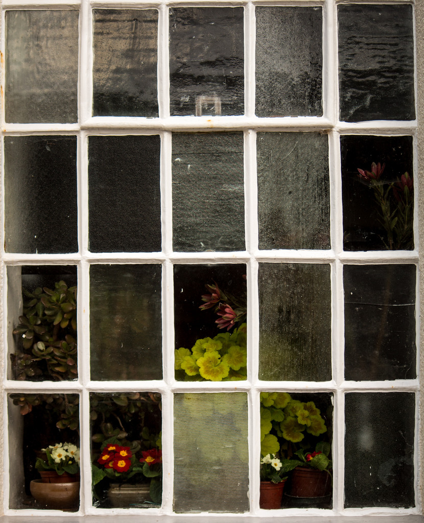 Square window by swillinbillyflynn