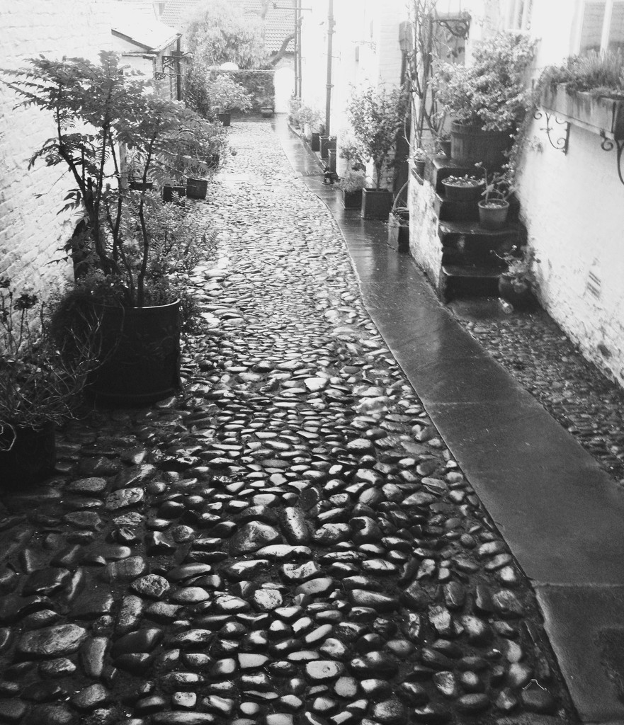 Cobbles in the rain by sabresun