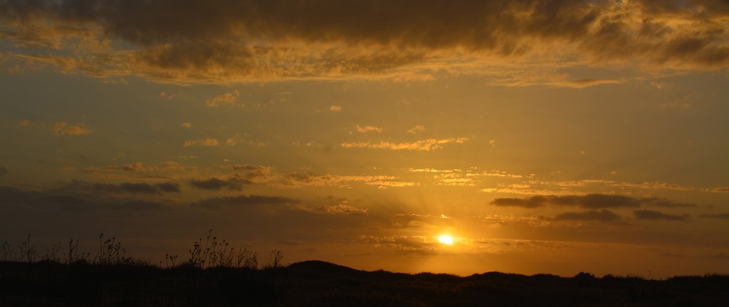 Sunset and Silhouettes......_DSC0316 by merrelyn