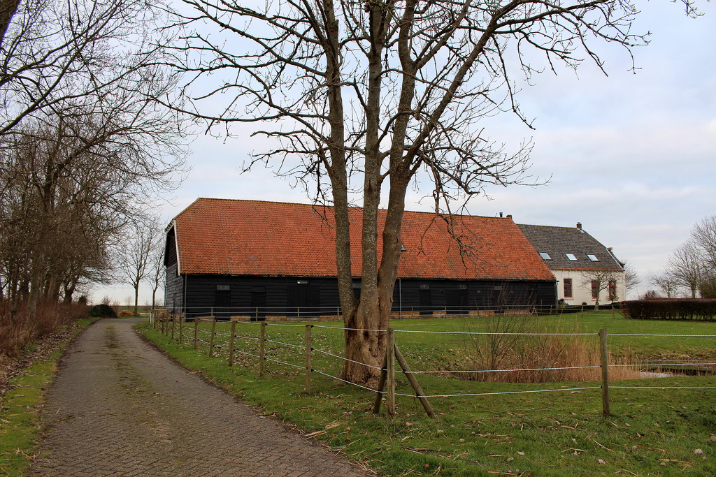 Farmhouse with barn by pyrrhula
