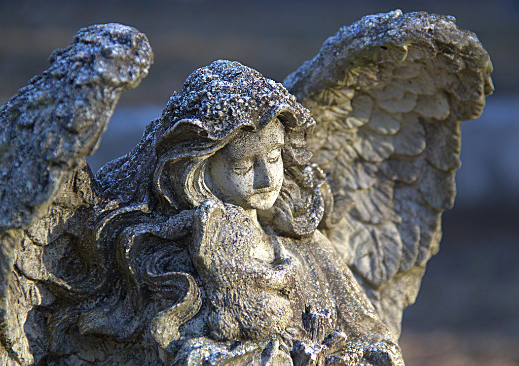 Angel at Bonaventure Cemetery  by calm