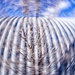 spinning quonset by aecasey
