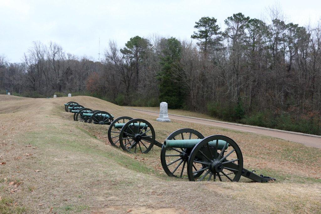 Vicksburg Military Park by ingrid01