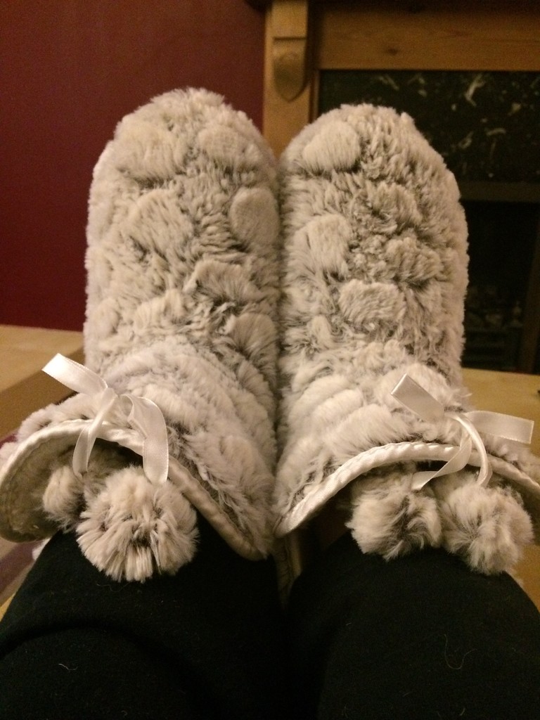 Cozy New Slippers by elainepenney