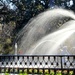 Forsythe Fountain by calm