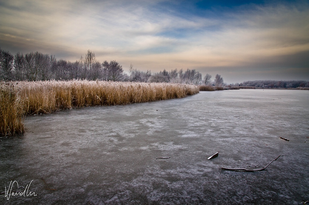 On frozen pond by vikdaddy