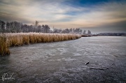 20th Dec 2010 - On frozen pond