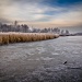 On frozen pond by vikdaddy