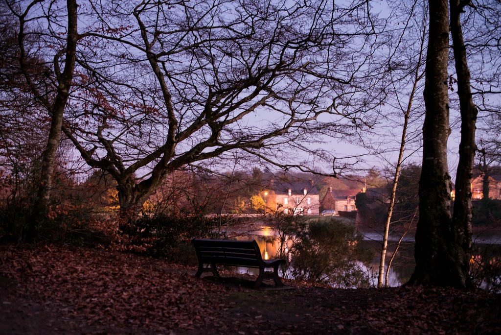 PLAY January - Nikon 50mm f/1.4G: Bench with a view... by vignouse