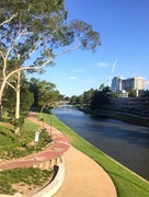 18th Jan 2017 - Parramatta River