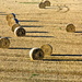 Bales of hay by redandwhite
