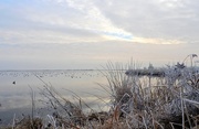 21st Jan 2017 - DSCN2618frozen lake