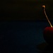 Black Cherry by jesperani