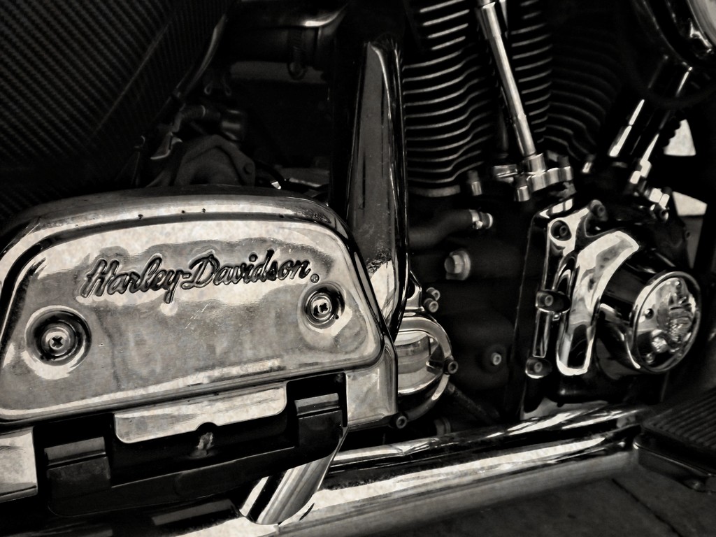 Harley Davidson by ajisaac