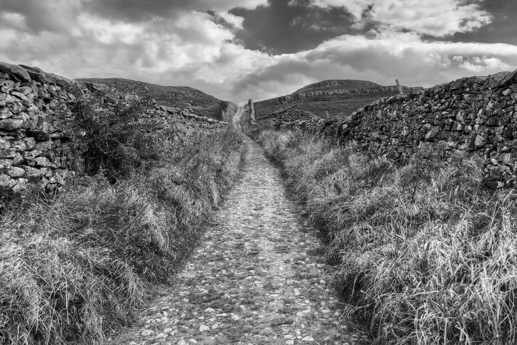 A Dales Path. by gamelee
