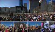 21st Jan 2017 - Women's March in Chicago
